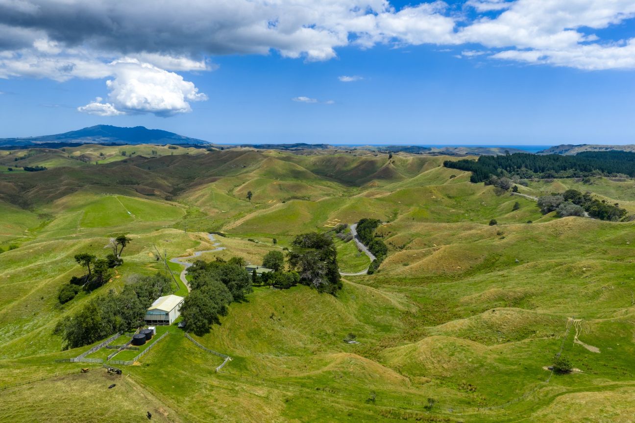 Grazing opportunity - View 4