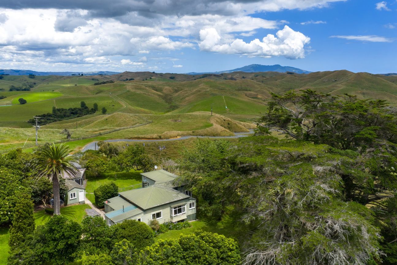Grazing opportunity - More