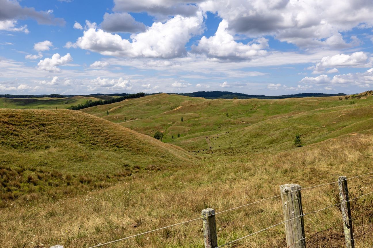 Grazing opportunity - View 3