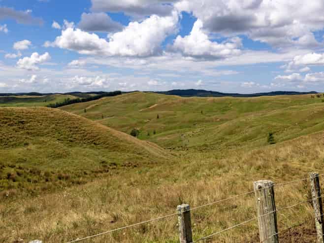 826 Ruakiwi Road, Te Akau