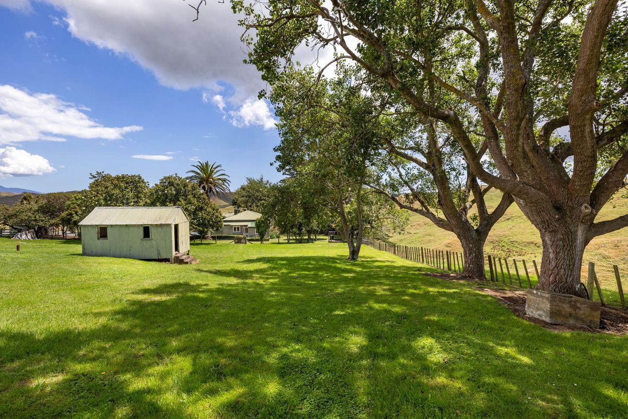 Grazing opportunity - View 2