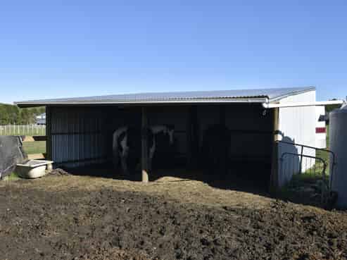 19 Black Road, Ashley Clinton