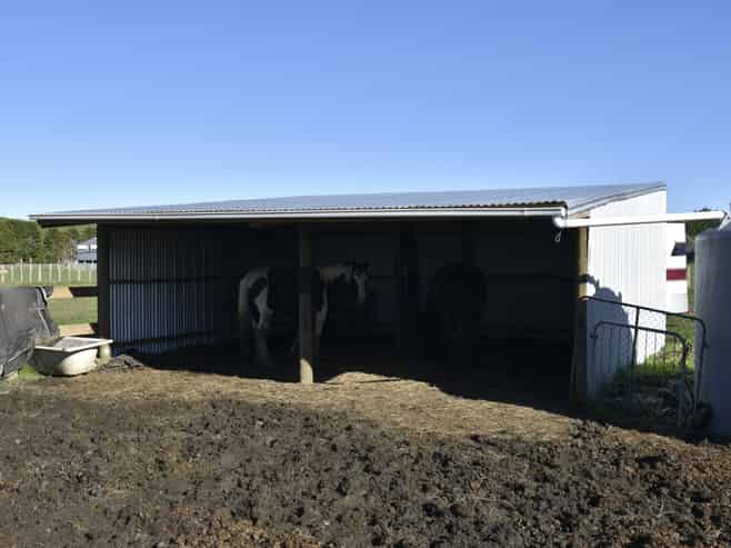 19 Black Road, Ashley Clinton