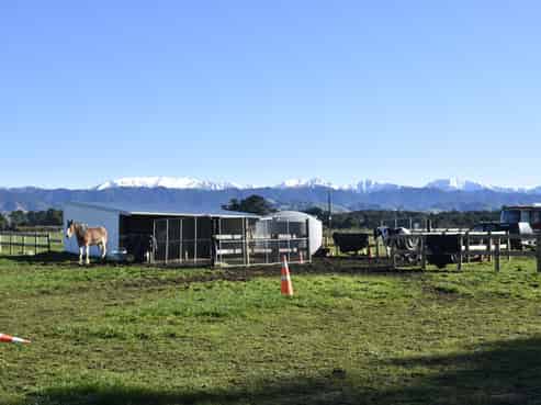 19 Black Road, Ashley Clinton