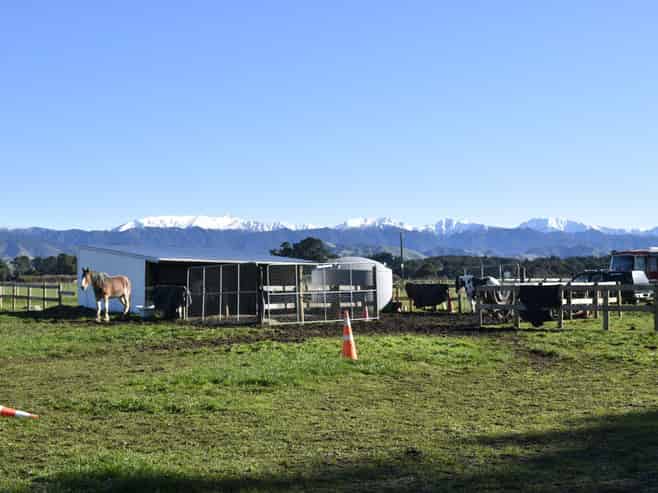 19 Black Road, Ashley Clinton