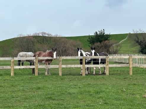 19 Black Road, Ashley Clinton