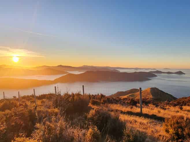 Lot 1 Anakoha Bay, Marlborough Sounds