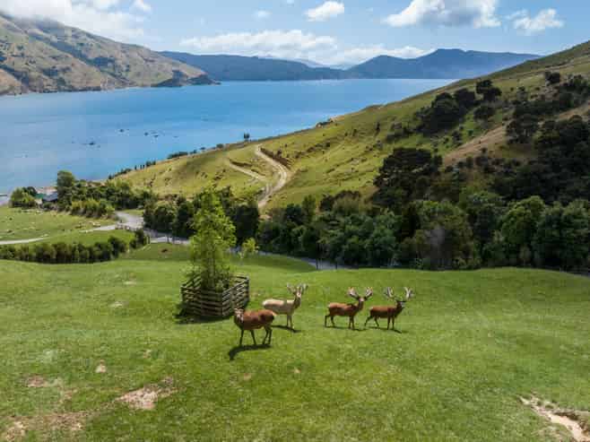 Lot 1 Anakoha Bay, Marlborough Sounds