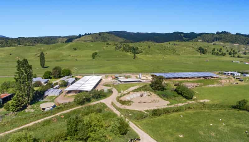 116A Matahi Valley Road, Waimana