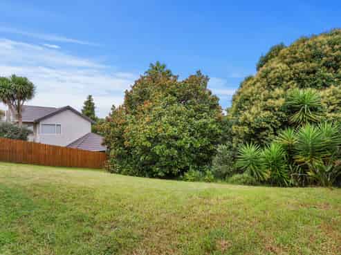 56 Birdwood Road, Swanson