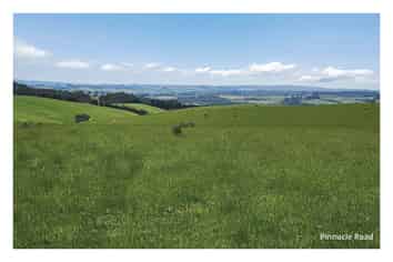 4x Lots Chittock Road and Pinnacle Road, Gore