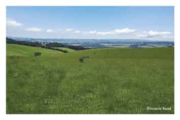 4x Lots Chittock Road and Pinnacle Road, Gore