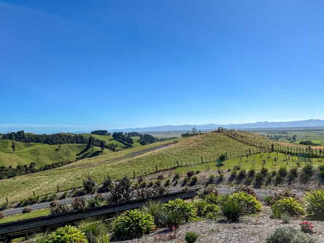 169 Torehape Road West, Kaihere