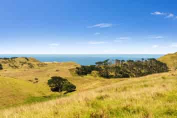Rehutai Road, Dargaville Surrounds
