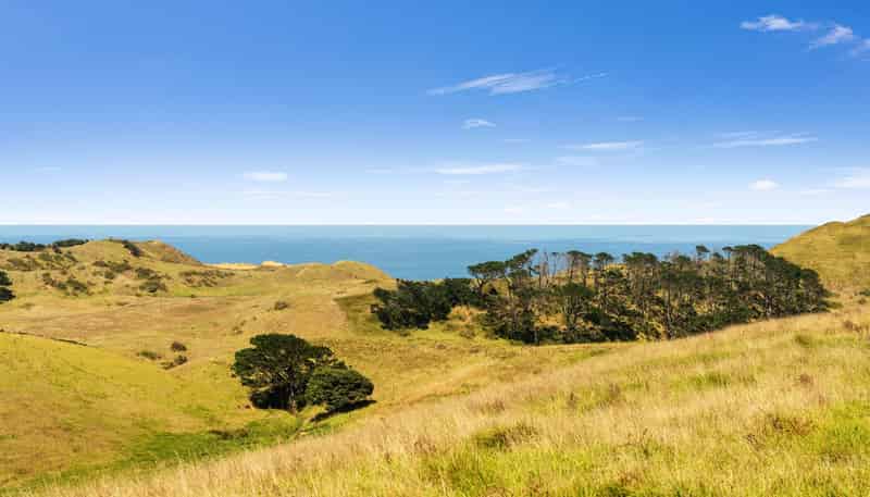 Rehutai Road, Dargaville Surrounds