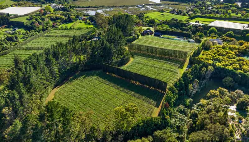 34B Jess Road, Whakamarama