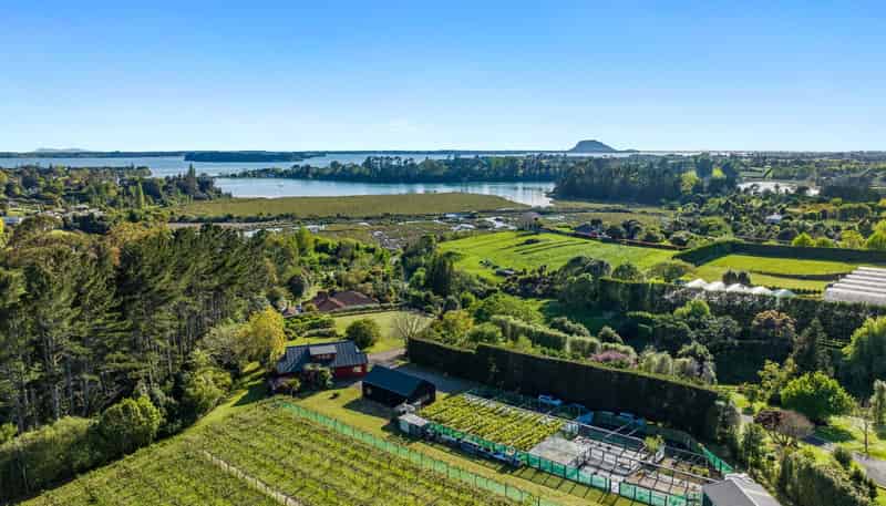 34B Jess Road, Whakamarama