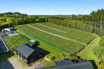 34B Jess Road, Whakamarama