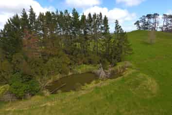  Williamson Road, Wellsford