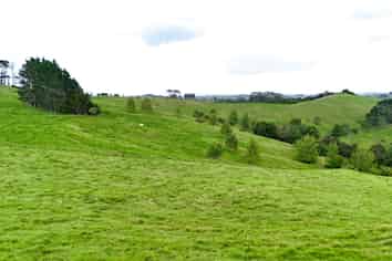  Williamson Road, Wellsford