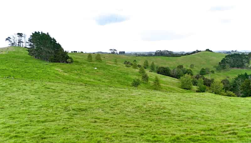  Williamson Road, Wellsford