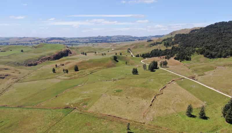  Kahuwera Road, Piopio