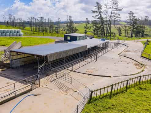 271 Pataua South Road, Pataua South