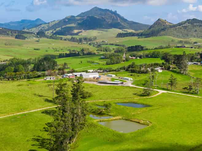 271 Pataua South Road, Pataua South