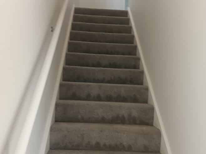 8/24 Dampier Street, Woolston