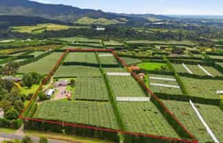 840 No 3 Road, Te Puke