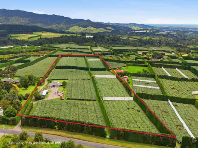 840 No 3 Road, Te Puke