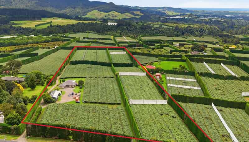 840 No 3 Road, Te Puke