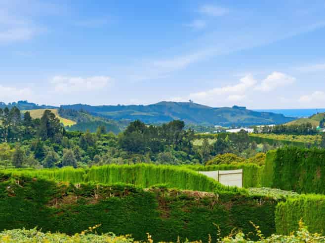 840 No 3 Road, Te Puke