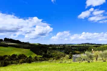 463 King Road, Mangawhai