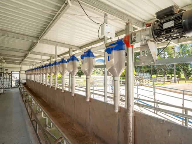 1153 Shenandoah Highway, Murchison