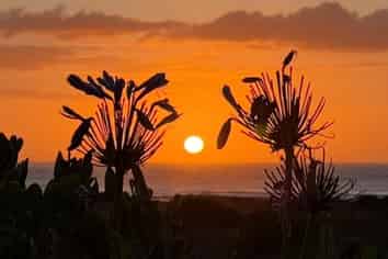 7 Kent Av, Waitarere Beach