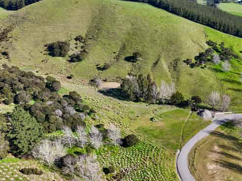 24 Sinclair Way, Martinborough