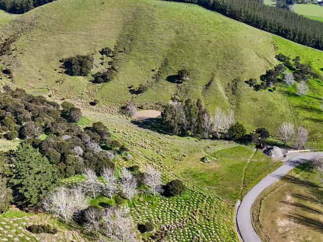 24 Sinclair Way, Martinborough