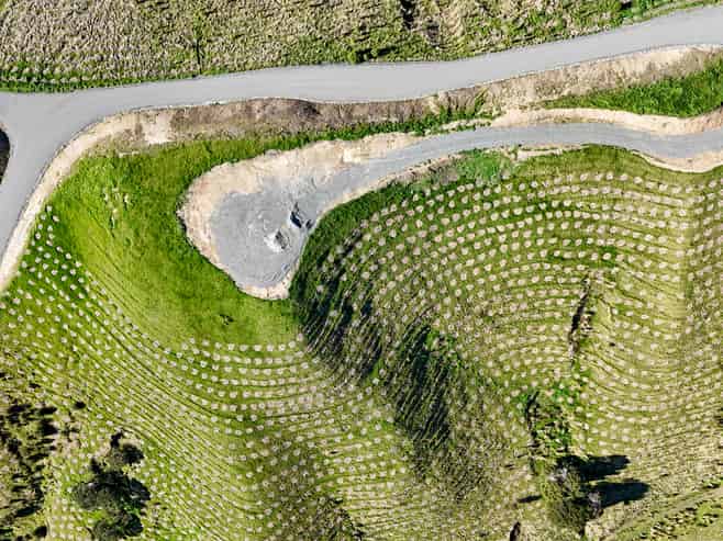 24 Sinclair Way, Martinborough