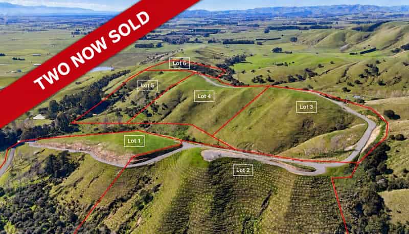 24 Sinclair Way, Martinborough