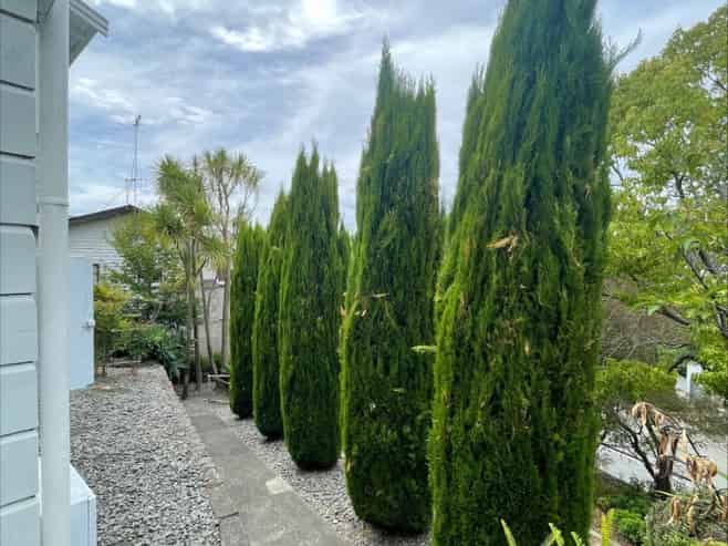 4a Simla Terrace , Napier Hill