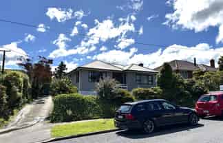 207 Balmacewen Road, Wakari