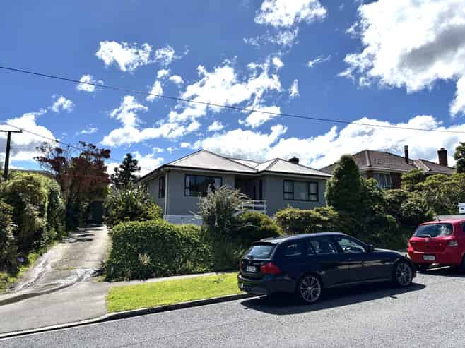 207 Balmacewen Road, Wakari