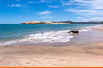 236 Hokianga Harbour Drive, OMAPERE