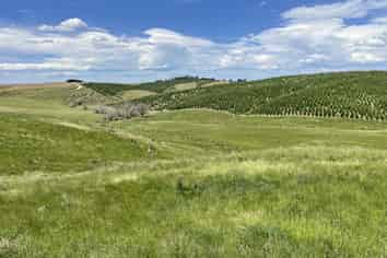 107 Balmoral Road, Livingstone