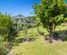 1125 Whangaparaoa Road, Tindalls Beach, Rodney, Auckland