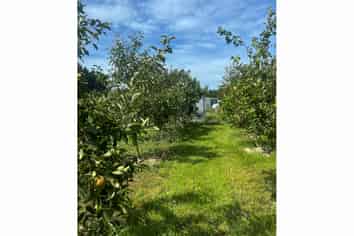 1742 Grahams Road, Eiffelton