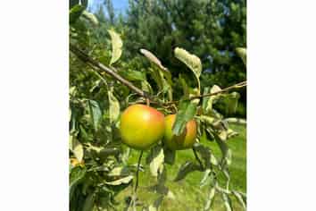 1742 Grahams Road, Eiffelton