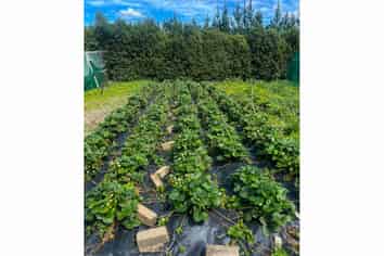 1742 Grahams Road, Eiffelton