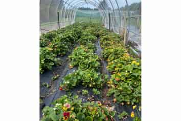 1742 Grahams Road, Eiffelton